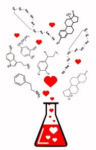 A química do amor!