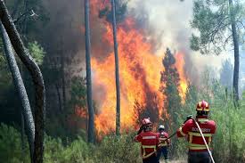 Vamos ajudar a libertar Portugal dos incêndios com as técnicas de Grabovoi?